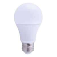 A21 LED Light Bulb